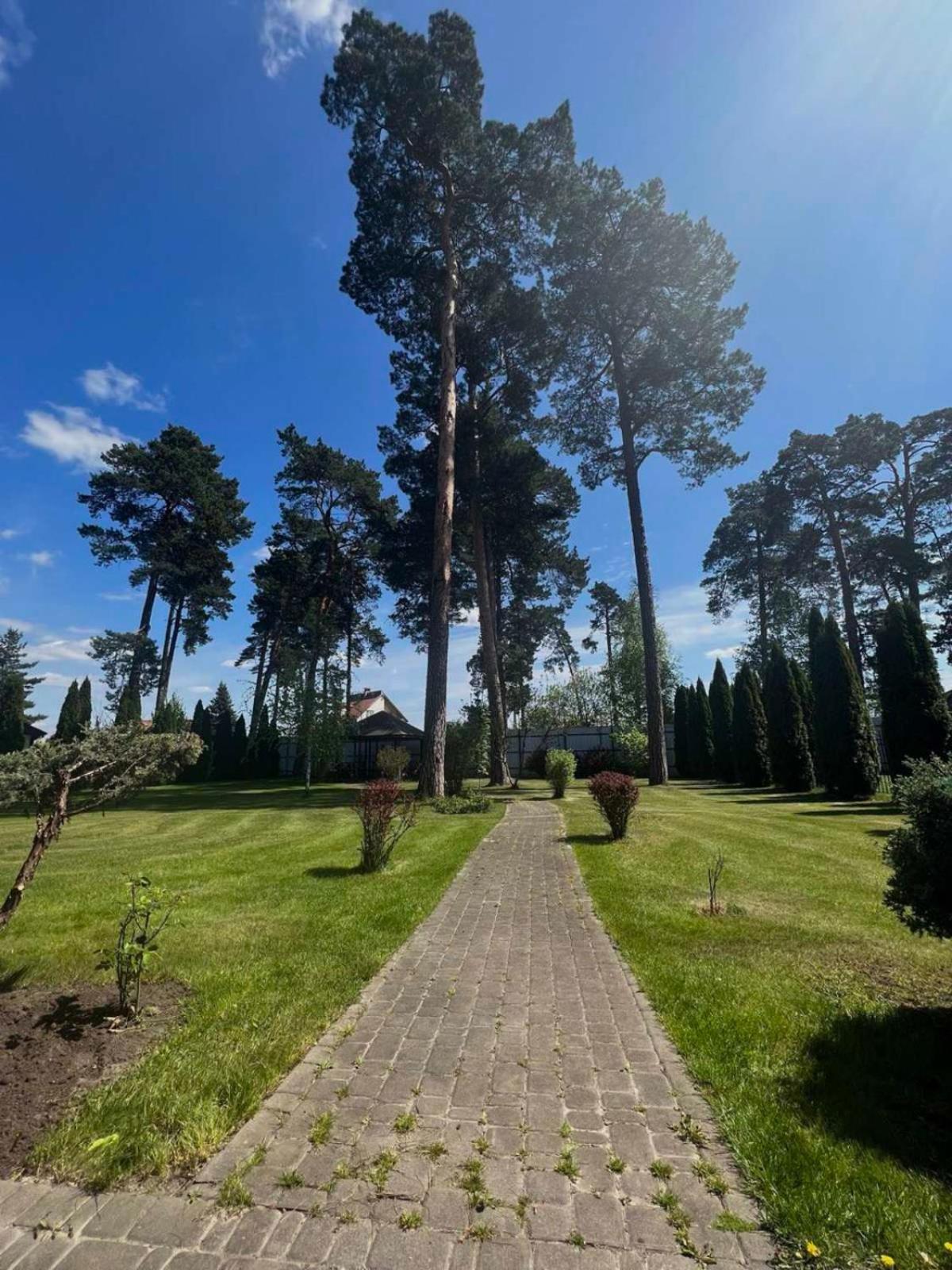 ホテル Borovik Novosilki エクステリア 写真